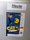 250-CATS1_20-03-2010